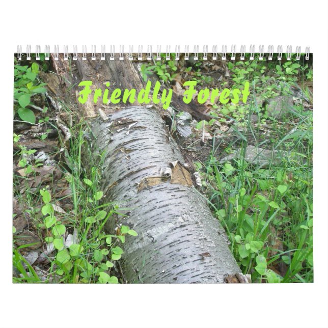 Calendar - Friendly Forest (Cover)