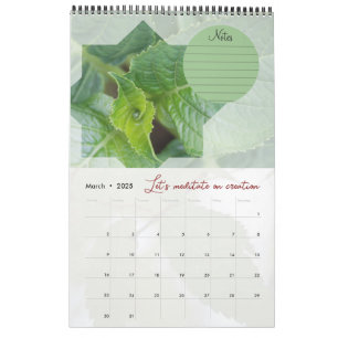 Calendar God meditation garden: star & notes