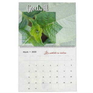 Calendar God meditation garden: star & word