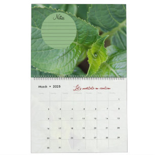 Calendar God meditation pictures garden: notes