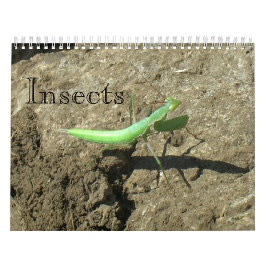 Calendar - Insects