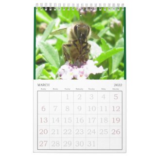 Calendar - Insects (sgl. pg.)