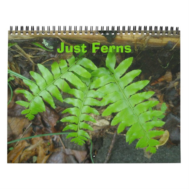 Calendar - Just Ferns (Cover)