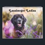 Calendar - Leonberger Ladies<br><div class="desc">Celebrating for female Leonherders</div>