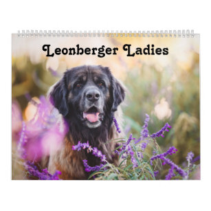 Calendar - Leonberger Ladies