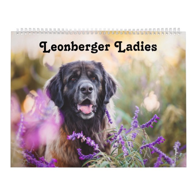 Calendar - Leonberger Ladies (Cover)
