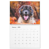 Calendar - Leonberger Ladies (Feb 2025)