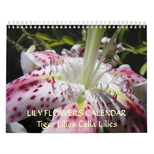 CALENDAR LILIES Pink Calla Lily Flowers Tiger Lily