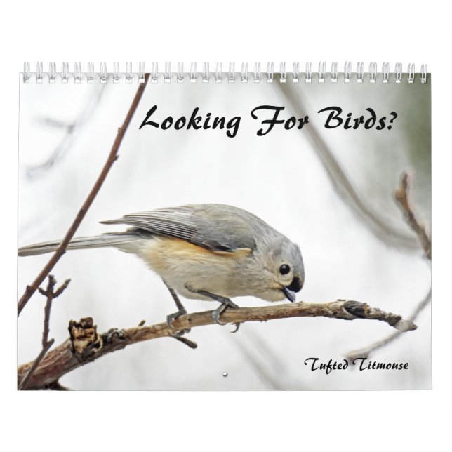 Calendar - Looking For Birds? (Cover)