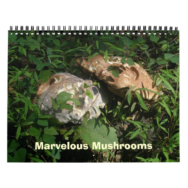 Calendar - Marvelous Mushrooms (Cover)