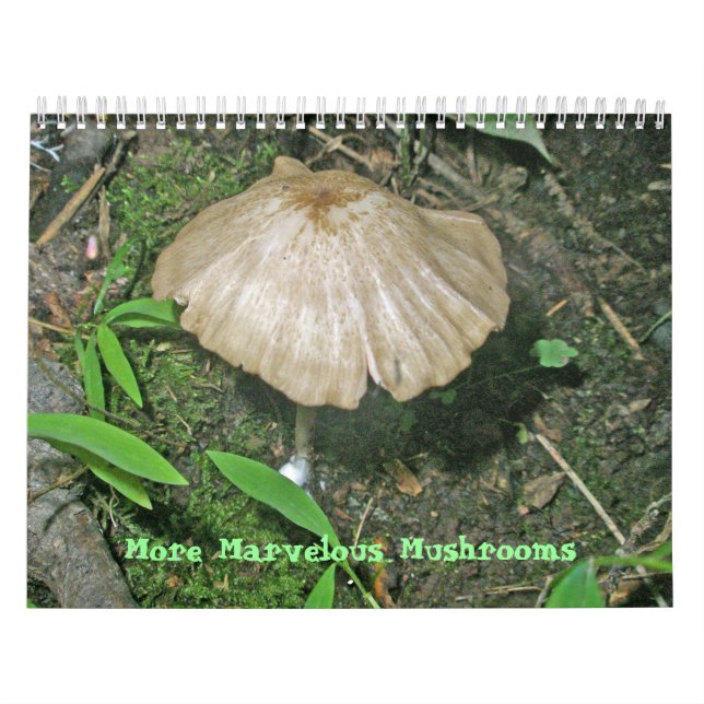 Calendar - More Marvelous Mushrooms (Cover)