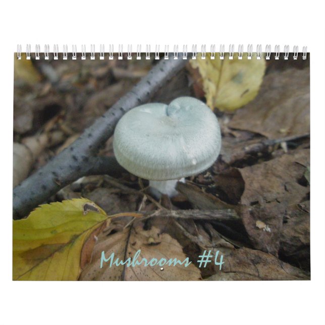 Calendar - More Marvelous Mushrooms #4 (Cover)