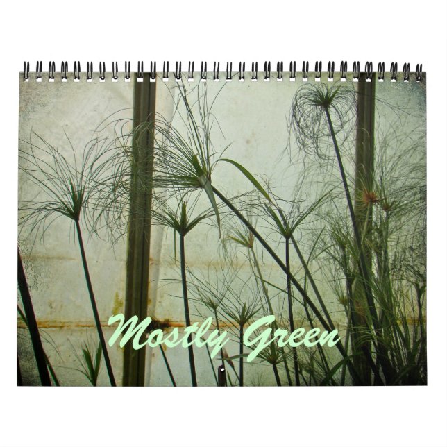 Calendar - Mostly Green (Cover)