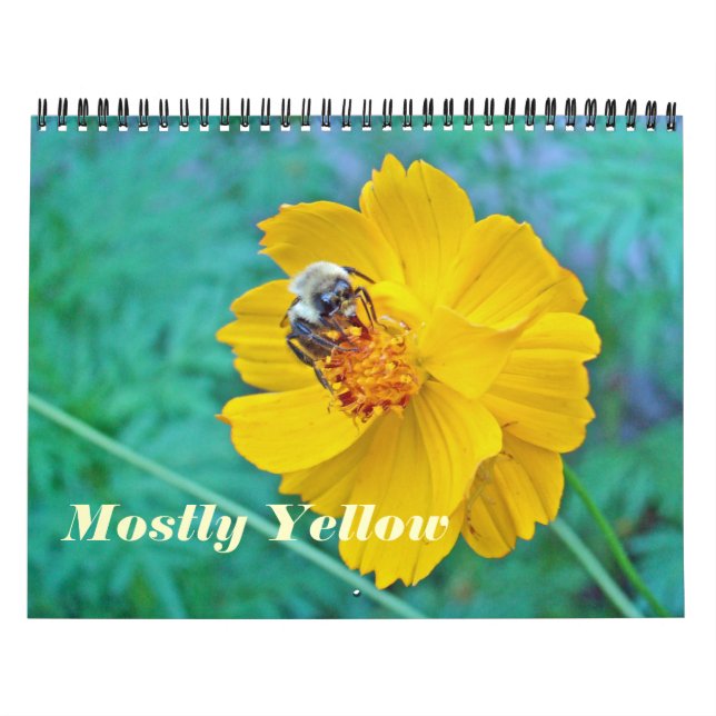 Calendar - Mostly Yellow (Cover)