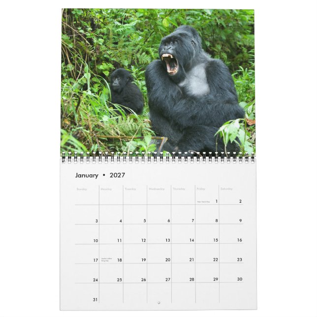Calendar - Mountain Gorillas of Rwanda (Jan 2027)