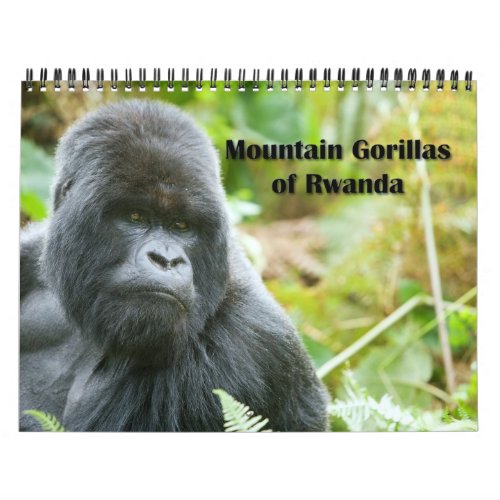 Calendar _ Mountain Gorillas of Rwanda