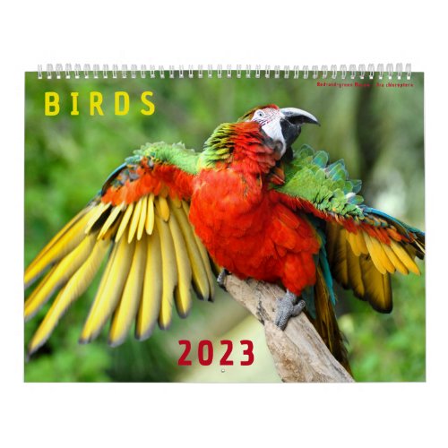 Calendar of 2023 of photos of various birds