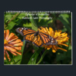 Calendar of Butterflies and Caterpillars<br><div class="desc">Calendar of Butterflies and Caterpillars  by Hallowell Lake Photography. Butterfly photos of butterflies in and around Maryland. Beautiful,  colorful butterflies give your office and/or kitchen a pop of color!  Great for office,  home,  gifts or for yourself!!</div>