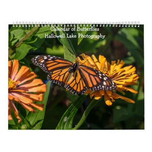Calendar of Butterflies and Caterpillars