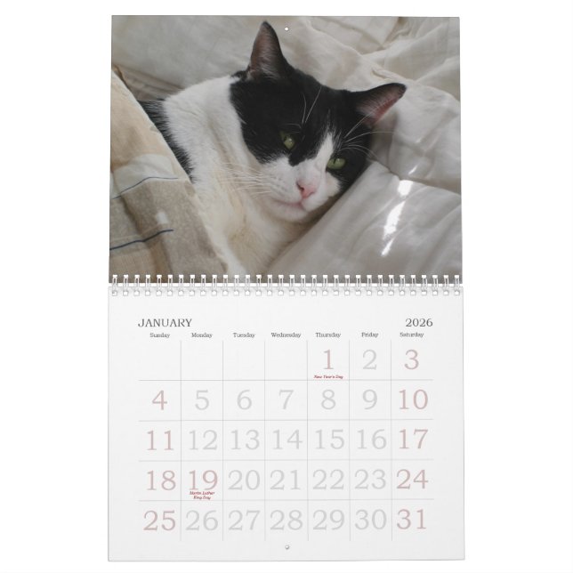 Calendar of Moments (Jan 2026)