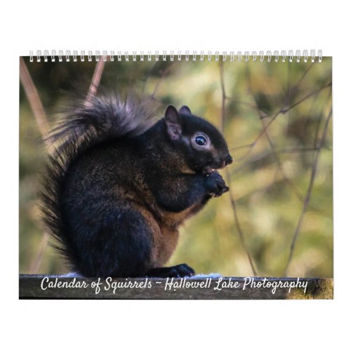 Calendar of Squirrels of Hallowell Lake