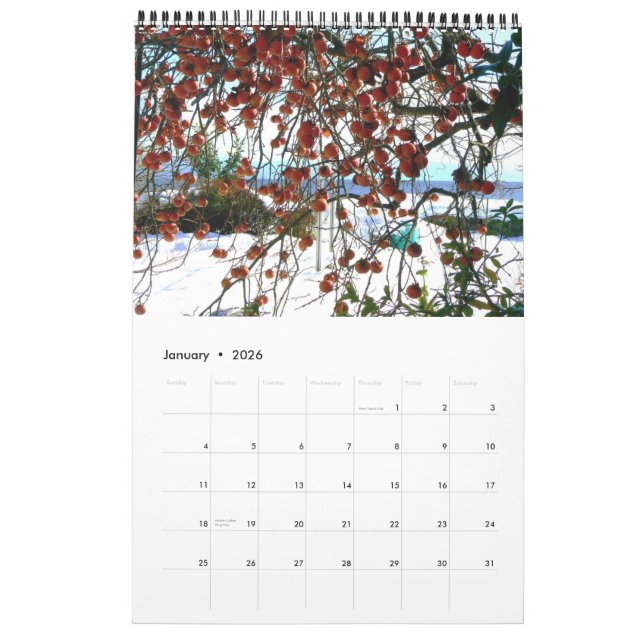 Calendar of the Japanese Countryside (Jan 2026)