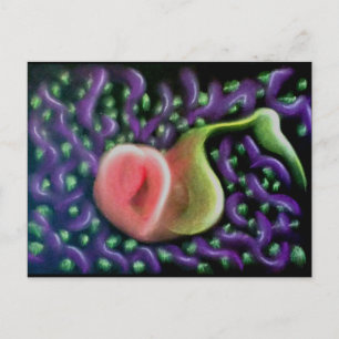 Calendar of the Soul 37 Postcard