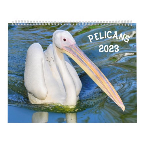 Calendar pelicans 2023