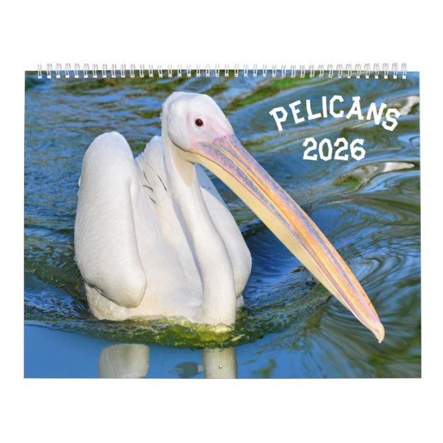 Calendar pelicans 2023 (Cover)
