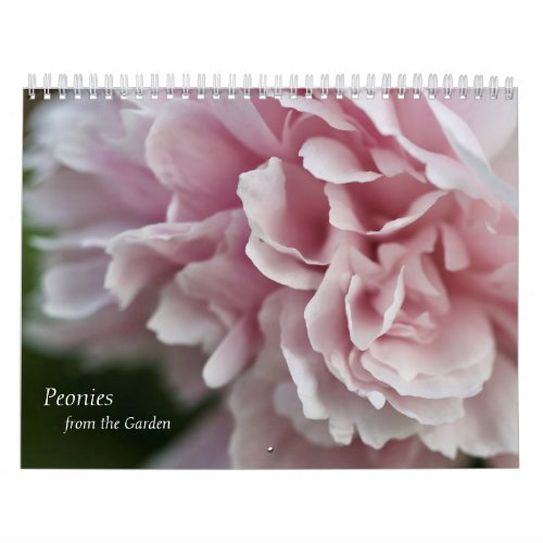 Calendar Peonies