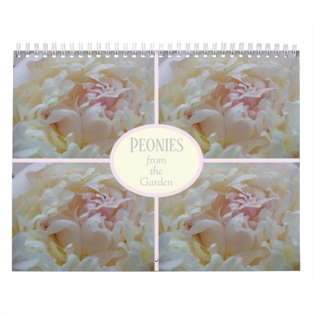 Calendar Peonies from my Garden (Cover)