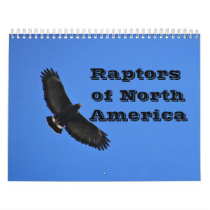 Calendar - Raptors (birds of prey) of North Americ