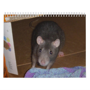 Calendar: Rat & Mouse Love Calendar