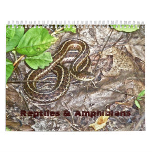 Calendar Reptiles & Amphibians #1