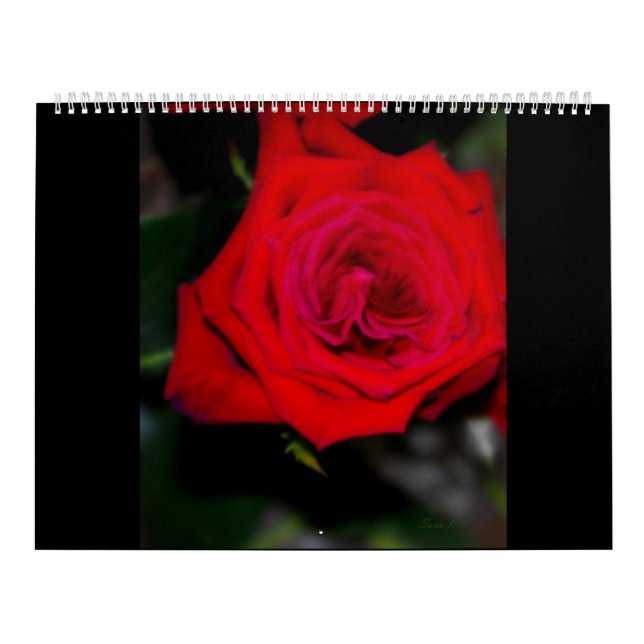 Calendar  ROSES (Cover)