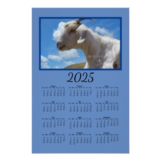 Calendar - Sheep on Hill