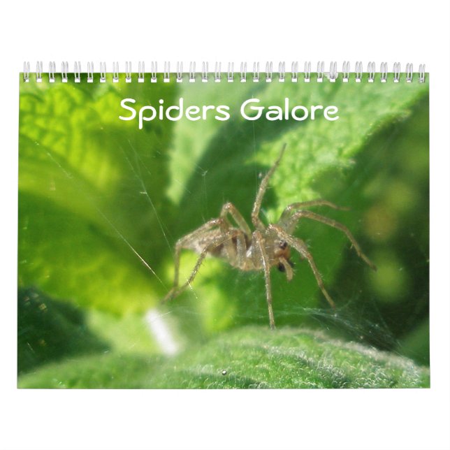Calendar - Spiders Galore (Cover)