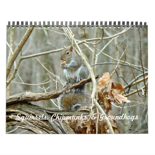 Calendar _ Squirrels Chipmunks Groundhogs