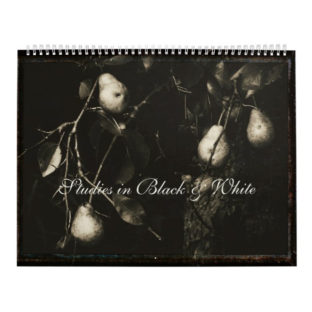 Calendar ~ Studies in Black & White (Cover)