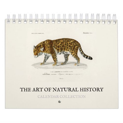CALENDAR  THE ART OF NATURAL HISTORY