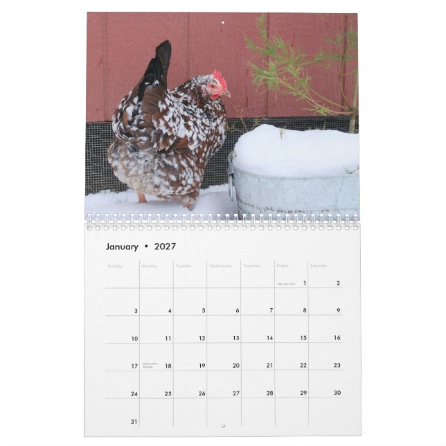 Calendar: The Chicken Chick's Flock Calendar (Jan 2027)