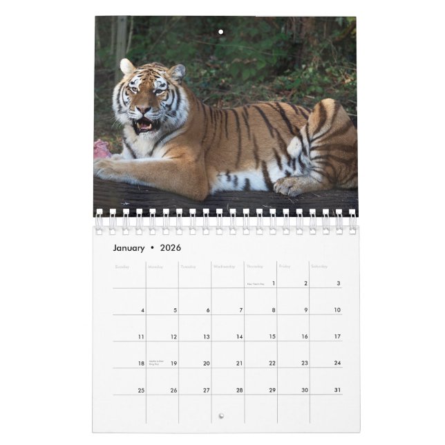 Calendar tiger (Jan 2026)
