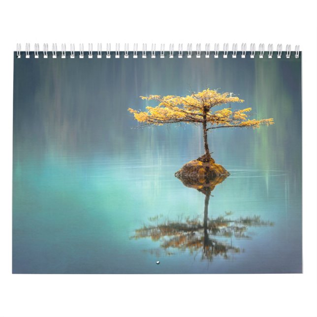 CALENDAR : TREE ON AN ISLAND (Cover)
