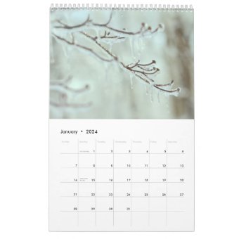 Calendar - Trees #1 | Zazzle