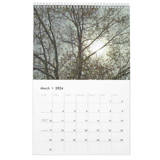 Calendar - Trees #1 | Zazzle