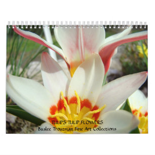 CALENDAR TULIPS Calendars Tulip Flowers