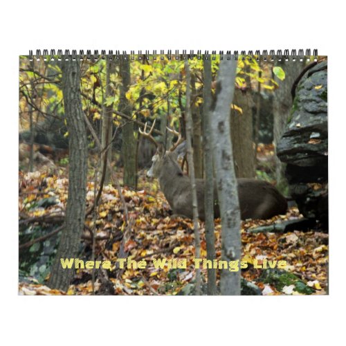 Calendar _ Where The Wild Things Live