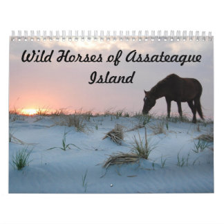 Calendar, Wild Horses of Assateague Island Calendar