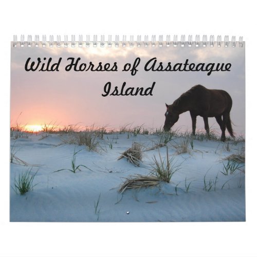 Calendar Wild Horses of Assateague Island Calendar