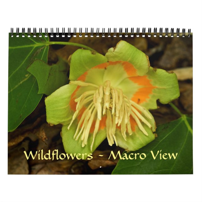 Calendar - Wildflowers - Macro View (Cover)